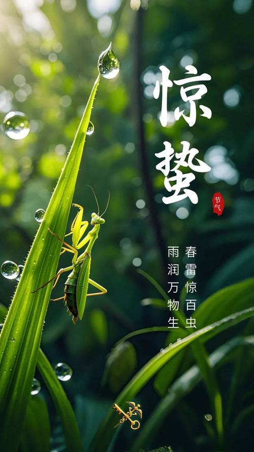 今日惊蛰古代诗人眼中的惊蛰
