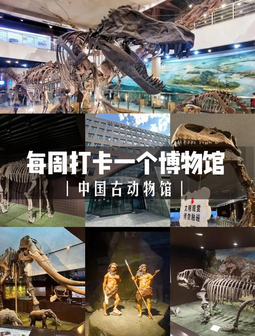 神奇动物在哪里？河南的博物馆里寻踪迹
