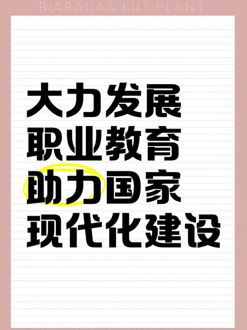 大力发展职业教育不在规模，在于提升地位和质量｜教育洞察